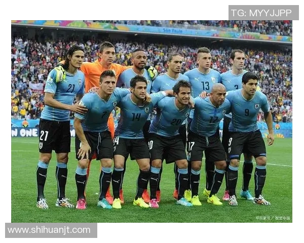 全球足球明星汇总各国代表球员成就与风采展示